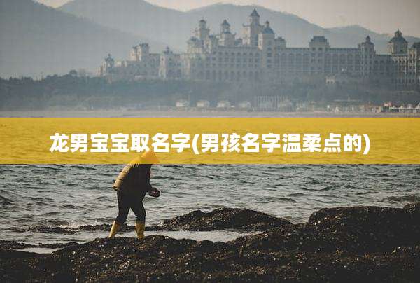 龙男宝宝取名字(男孩名字温柔点的)
