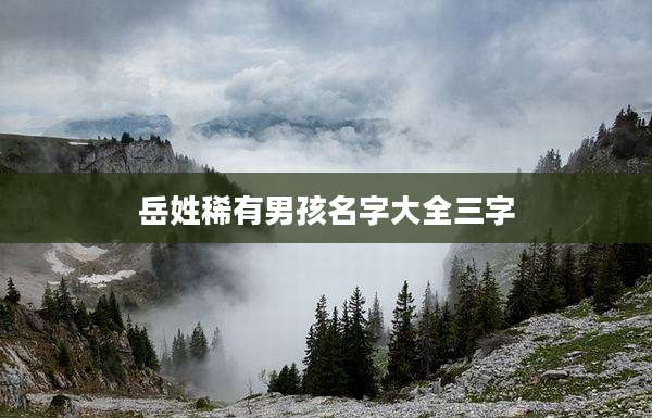 岳姓稀有男孩名字大全三字
