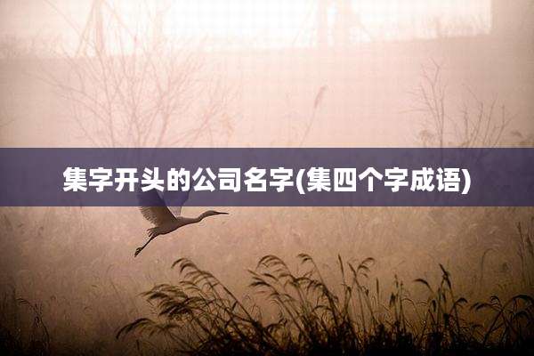 集字开头的公司名字(集四个字成语)