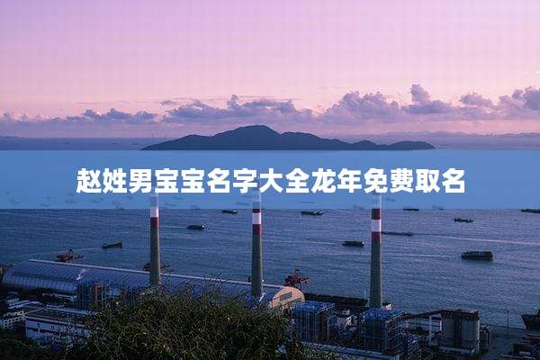 赵姓男宝宝名字大全龙年免费取名