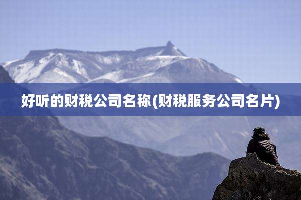 好听的财税公司名称(财税服务公司名片)