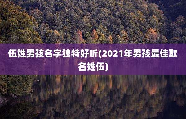 伍姓男孩名字独特好听(2021年男孩最佳取名姓伍)