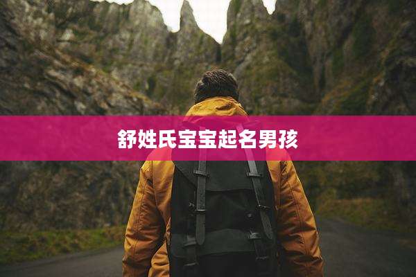 舒姓氏宝宝起名男孩