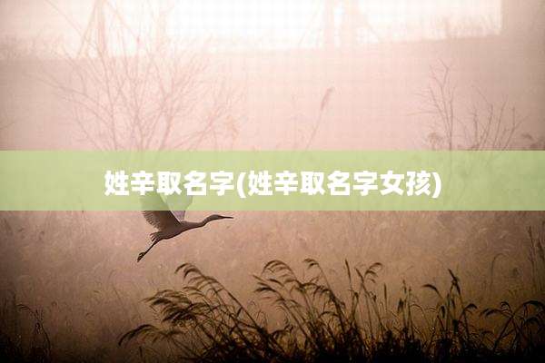 姓辛取名字(姓辛取名字女孩)