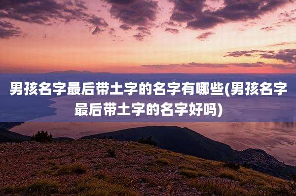 男孩名字最后带土字的名字有哪些(男孩名字最后带土字的名字好吗)