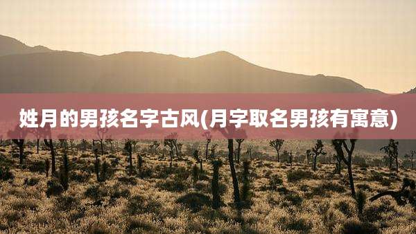 姓月的男孩名字古风(月字取名男孩有寓意)