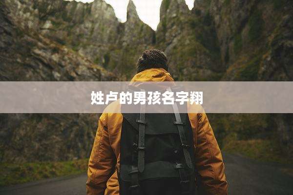 姓卢的男孩名字翔