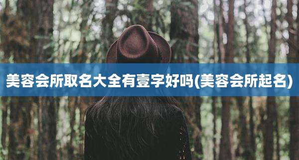 美容会所取名大全有壹字好吗(美容会所起名)