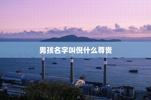 男孩名字叫倪什么尊贵