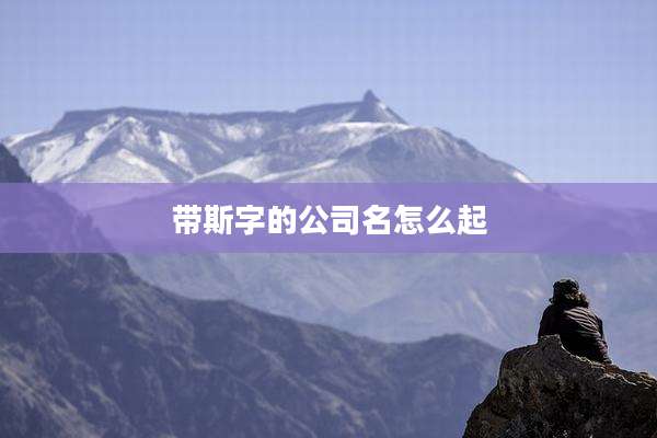 带斯字的公司名怎么起
