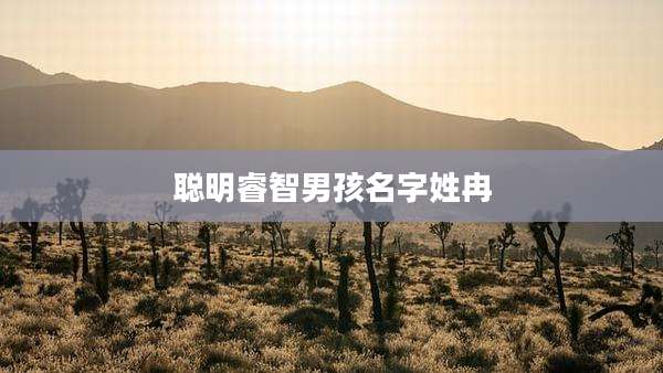 聪明睿智男孩名字姓冉