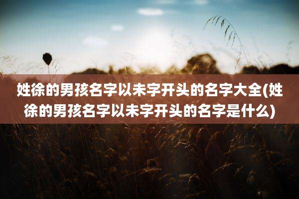 姓徐的男孩名字以未字开头的名字大全(姓徐的男孩名字以未字开头的名字是什么)