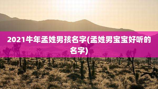 2021牛年孟姓男孩名字(孟姓男宝宝好听的名字)