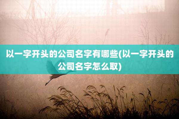 以一字开头的公司名字有哪些(以一字开头的公司名字怎么取)