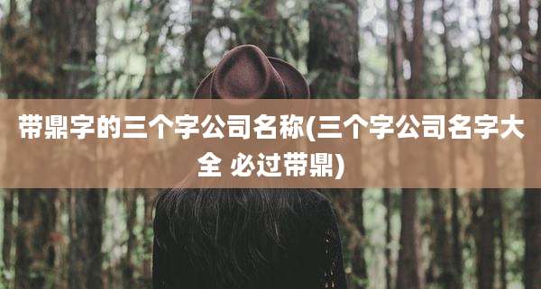 带鼎字的三个字公司名称(三个字公司名字大全 必过带鼎)