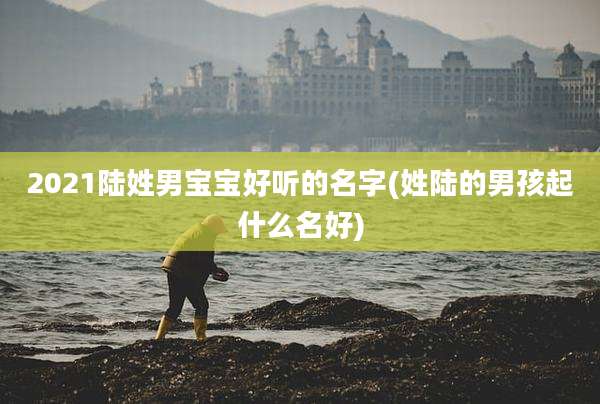 2021陆姓男宝宝好听的名字(姓陆的男孩起什么名好)