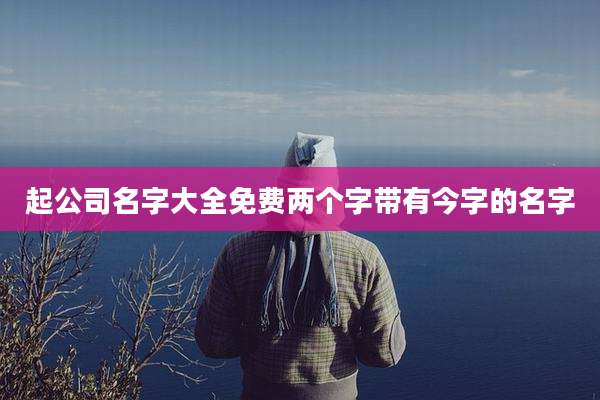 起公司名字大全免费两个字带有今字的名字