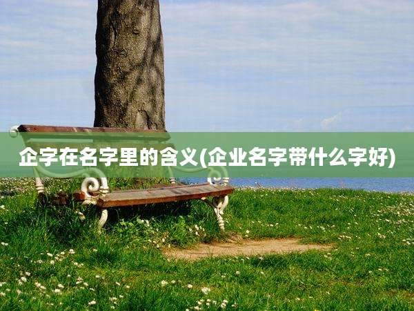 企字在名字里的含义(企业名字带什么字好)