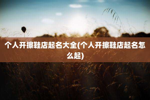 个人开擦鞋店起名大全(个人开擦鞋店起名怎么起)