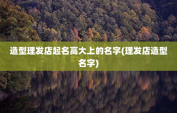 造型理发店起名高大上的名字(理发店造型名字)