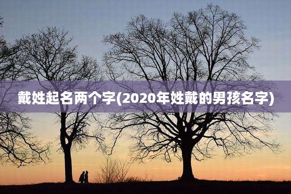 戴姓起名两个字(2020年姓戴的男孩名字)