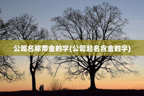 公司名称带金的字(公司起名含金的字)