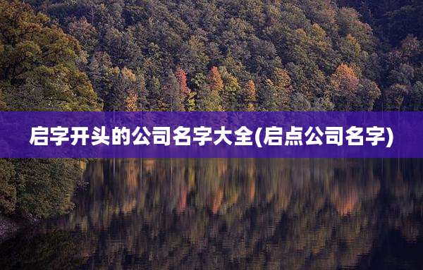 启字开头的公司名字大全(启点公司名字)