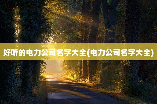 好听的电力公司名字大全(电力公司名字大全)