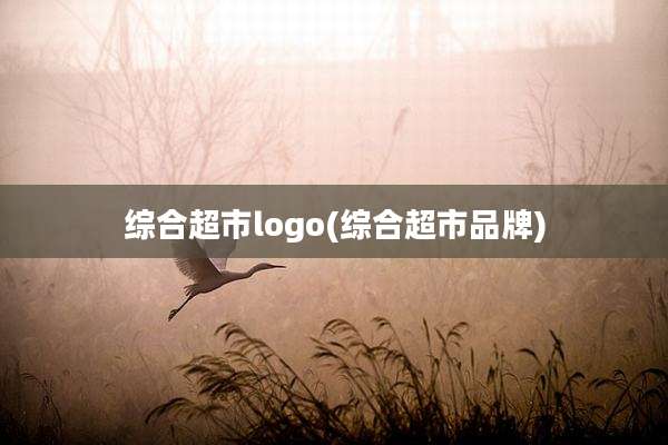 综合超市logo(综合超市品牌)