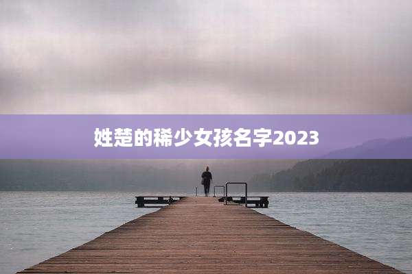 姓楚的稀少女孩名字2023