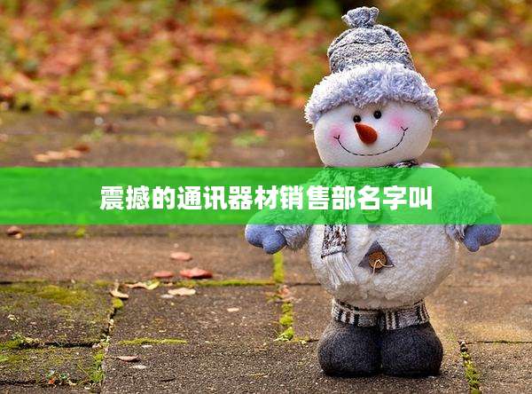 震撼的通讯器材销售部名字叫