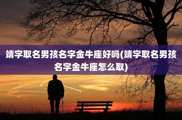 靖字取名男孩名字金牛座好吗(靖字取名男孩名字金牛座怎么取)