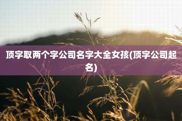 顶字取两个字公司名字大全女孩(顶字公司起名)