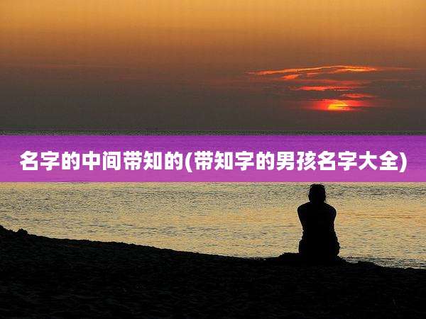 名字的中间带知的(带知字的男孩名字大全)