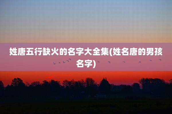 姓唐五行缺火的名字大全集(姓名唐的男孩名字)