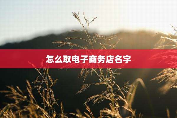 怎么取电子商务店名字