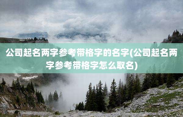 公司起名两字参考带格字的名字(公司起名两字参考带格字怎么取名)