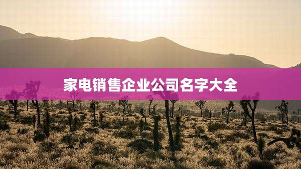 家电销售企业公司名字大全