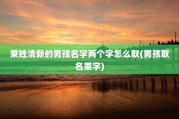 莱姓清新的男孩名字两个字怎么取(男孩取名莱字)