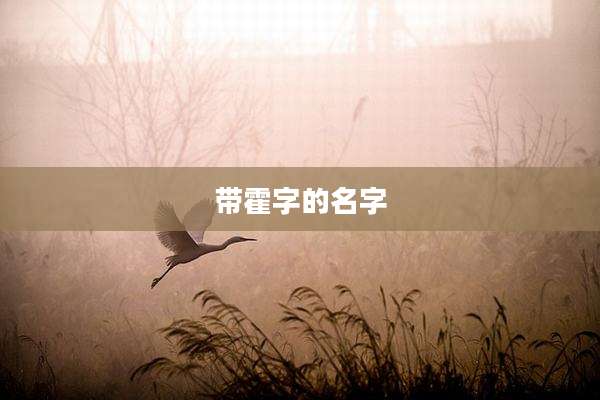 带霍字的名字