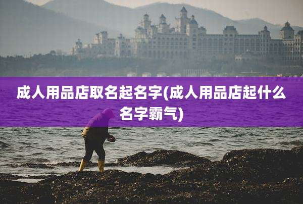 成人用品店取名起名字(成人用品店起什么名字霸气)