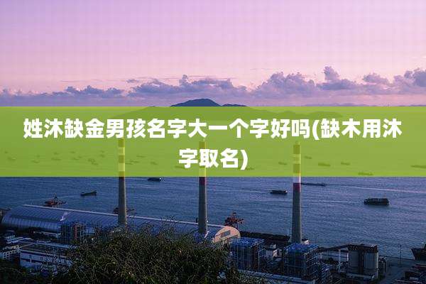 姓沐缺金男孩名字大一个字好吗(缺木用沐字取名)