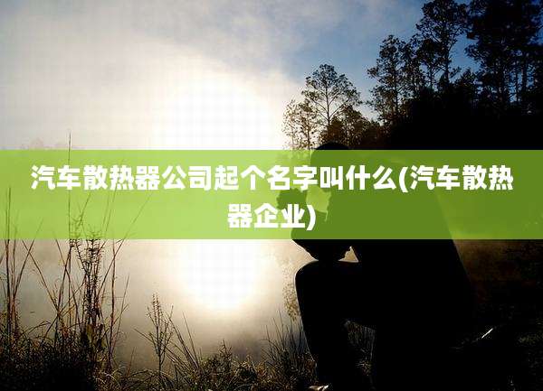 汽车散热器公司起个名字叫什么(汽车散热器企业)