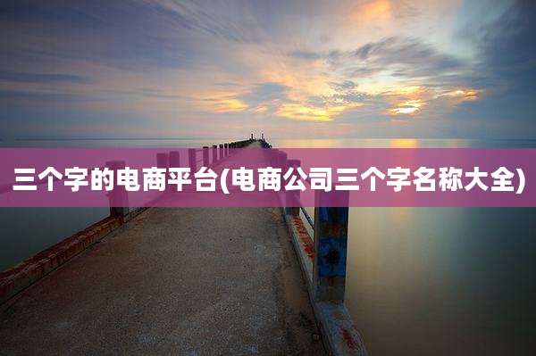 三个字的电商平台(电商公司三个字名称大全)