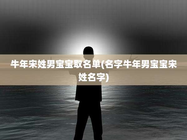 牛年宋姓男宝宝取名单(名字牛年男宝宝宋姓名字)