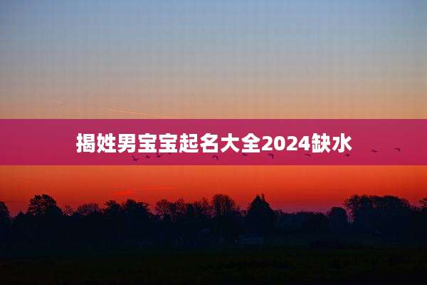 揭姓男宝宝起名大全2024缺水
