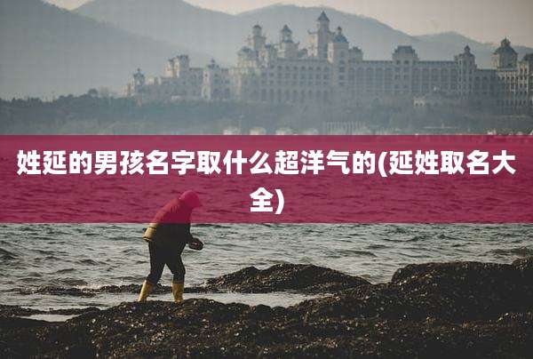 姓延的男孩名字取什么超洋气的(延姓取名大全)