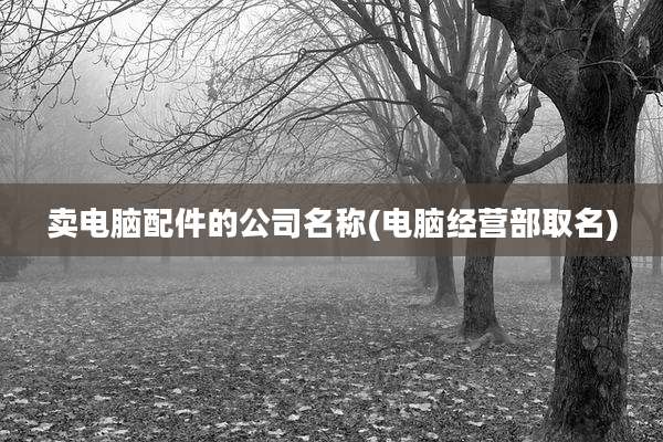 卖电脑配件的公司名称(电脑经营部取名)