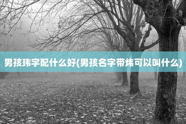 男孩玮字配什么好(男孩名字带炜可以叫什么)