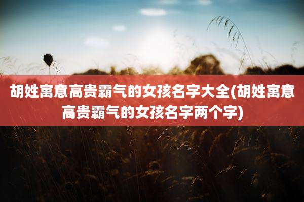 胡姓寓意高贵霸气的女孩名字大全(胡姓寓意高贵霸气的女孩名字两个字)